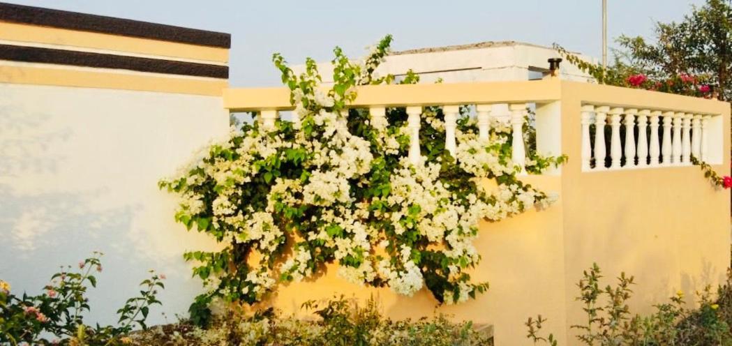Royal Meadows - Igatpuri Bungalow B מראה חיצוני תמונה